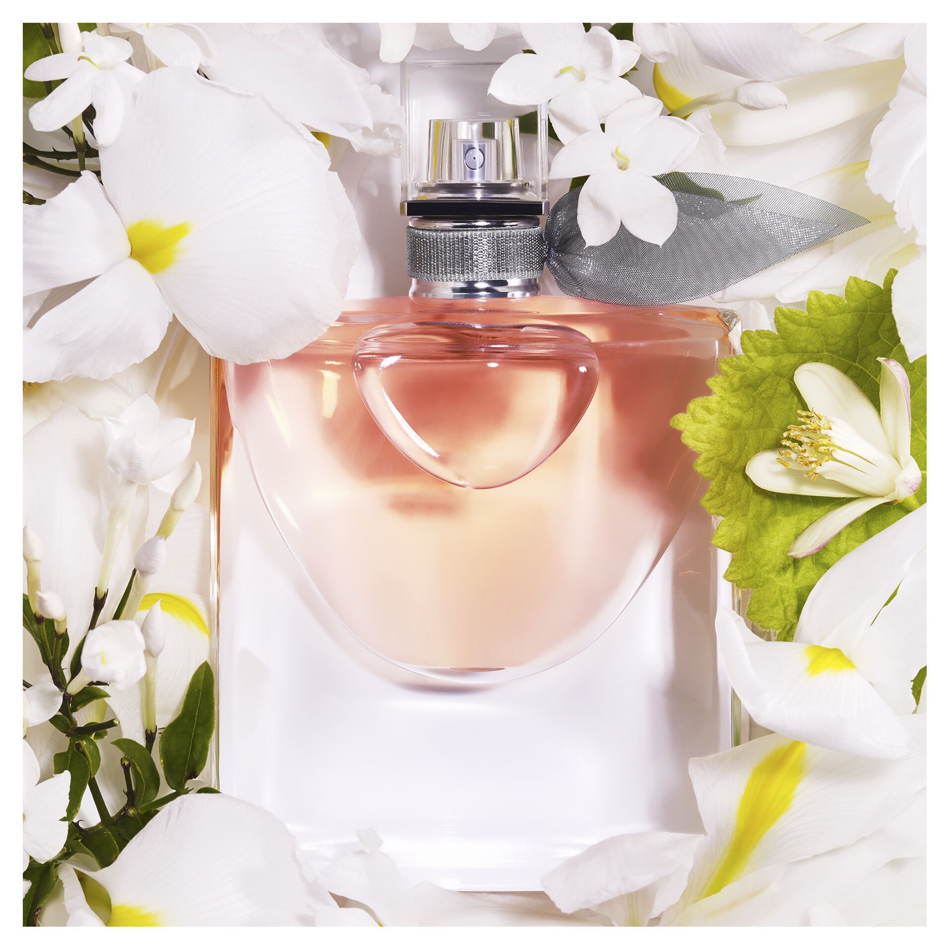 Belle Vie Perfume Inspired by Lancome La Vie Est Belle - USA