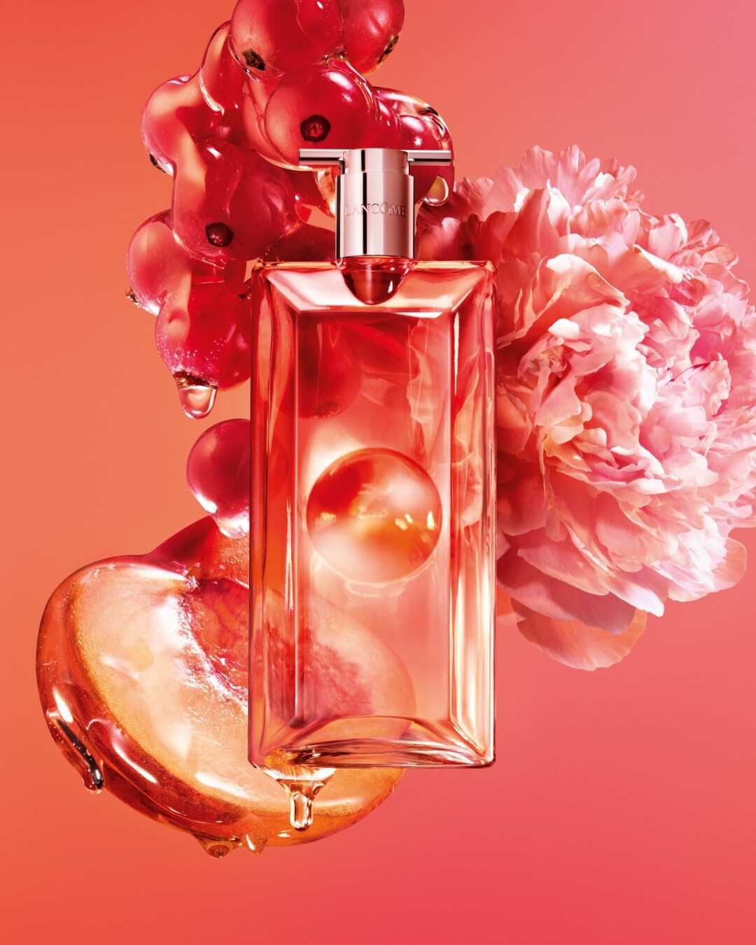 La vie est belle Elixir Still Life