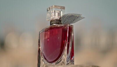 La Vie Est Belle Elixir
