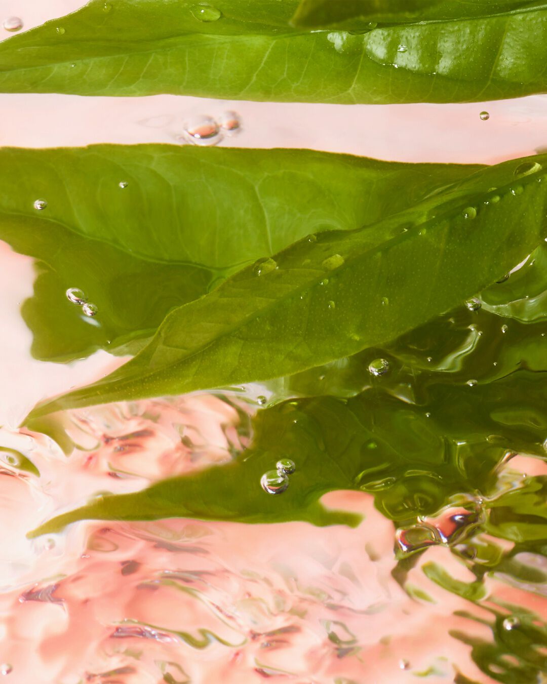 Illustration of Fresh Fragrance