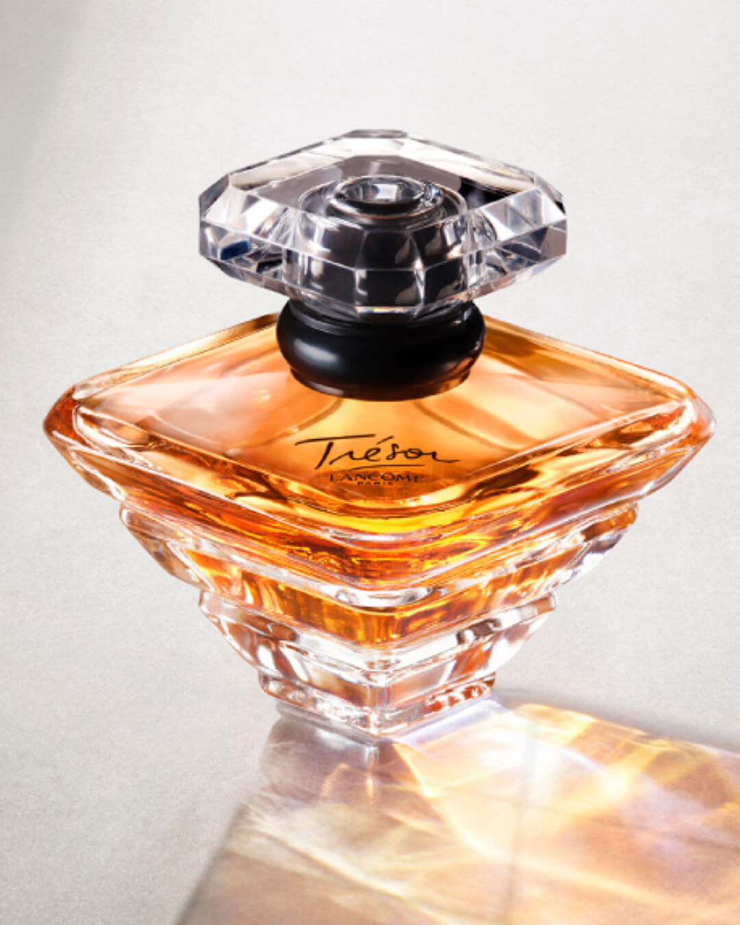Tresorl Still Life