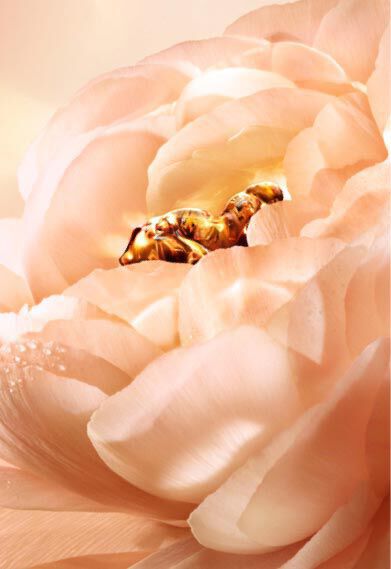 ABSOLUE PERPETUAL CARE - OUR MOMENT SUSPENDED IN TIME | Lancôme